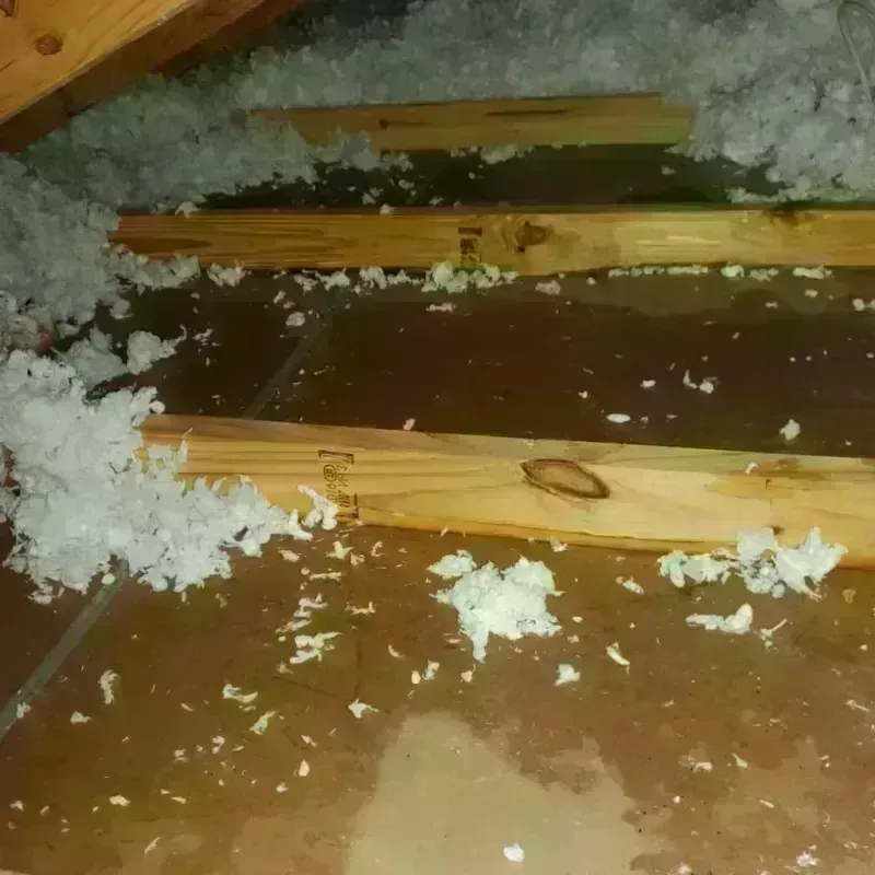 Attic Water Damage in Seville, OH