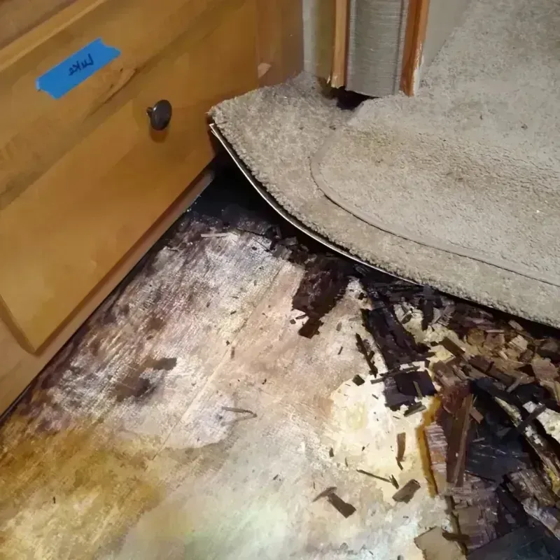 Best Wood Floor Water Damage Service in Seville, OH